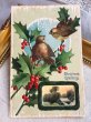 画像2: Postcard  アンティークポストカード　クリスマス　Xmas　小鳥とホーリー　1911年記念切手 (2)