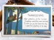画像2: ▼SALE500▼　Postcard  　アンティークポストカード　感謝祭　サンクスギビング　木の上の七面鳥　（未使用） (2)