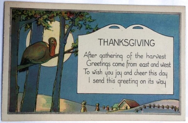 画像1: ▼SALE500▼　Postcard  　アンティークポストカード　感謝祭　サンクスギビング　木の上の七面鳥　（未使用） (1)
