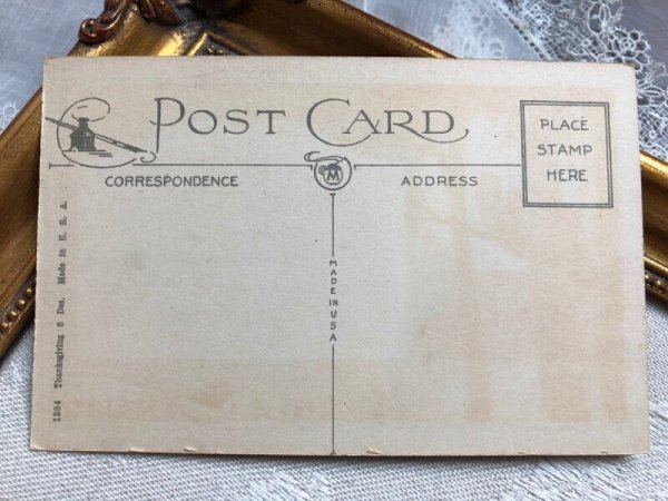 画像3: ▼SALE500▼ Postcard   アンティークポストカード 感謝祭 サンクスギビング 木の上の七面鳥 (未使用) (3)