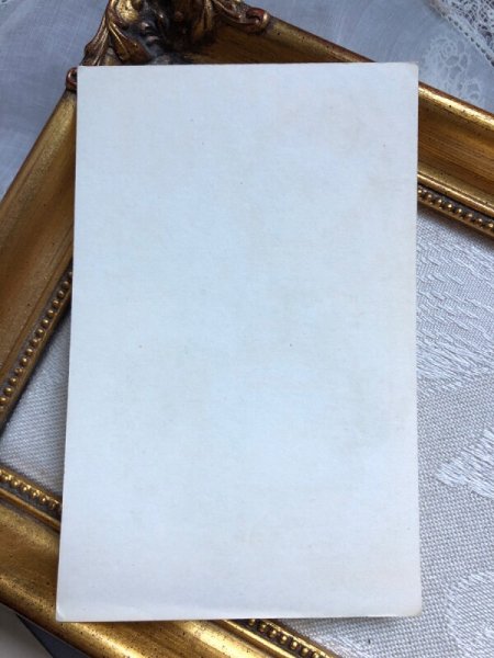 画像3: ▼SALE500▼ Greeting card  アンティークポストカード 感謝祭 サンクスギビング 七面鳥と女の子 (3)