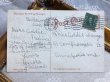 画像3: Postcard　アンティークポストカード　クリスマス　2匹の犬とサンタクロース　アメリカ1908年 (3)