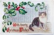 画像1: Postcard  　アンティークポストカード　クリスマス 　猫　ヤドリギとホーリー　アメリカ1909年 (1)