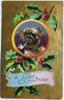 画像1: Postcard  　アンティークポストカード　クリスマス　片目アイパッチのパグ犬（ボクサー犬？）　キセル煙草 (1)
