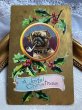 画像2: Postcard  　アンティークポストカード　クリスマス　片目アイパッチのパグ犬（ボクサー犬？）　キセル煙草 (2)