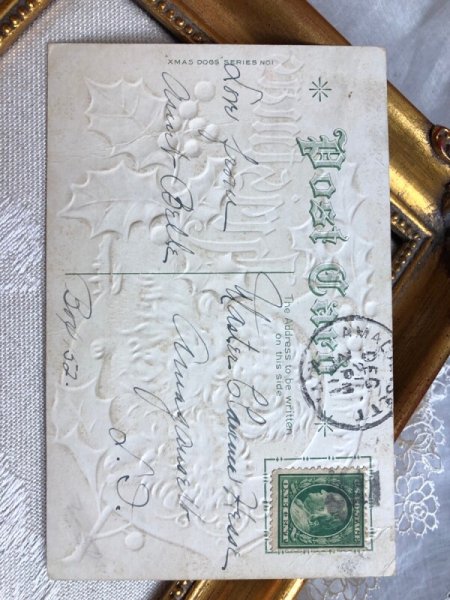 画像3: Postcard  　アンティークポストカード　クリスマス マルチーズ犬の親子　アメリカ1911年 (3)