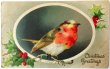 画像1: Postcard  アンティークポストカード　クリスマス　小鳥とホーリー　ロビン　 (1)