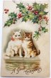 画像1: Postcard  アンティークポストカード　クリスマス　2匹の猫とホーリー　Helena Maguire (1)