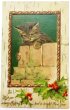 画像1: Postcard  アンティークポストカード　クリスマス　猫とホーリー　Helena Maguire (1)