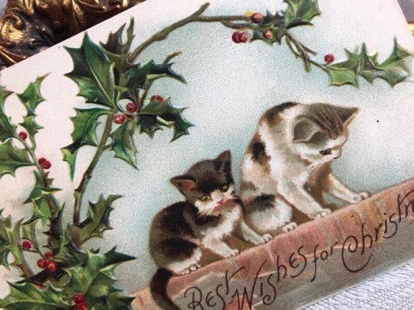 画像3: Postcard  アンティークポストカード　クリスマス　2匹の猫とホーリー　Helena Maguire　（未使用） (3)