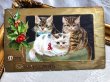 画像2: Postcard  アンティークポストカード　クリスマス　3匹の子猫とホーリー　Helena Maguire　（未使用） (2)