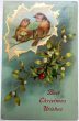 画像1: Postcard  アンティークポストカード　クリスマス　小鳥　ヤドリギとホーリー　アメリカ1906年 (1)