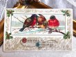 画像2: Postcard  アンティークポストカード　クリスマス　小鳥とホーリー　 (2)