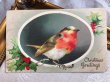 画像2: Postcard  アンティークポストカード　クリスマス　小鳥とホーリー　ロビン　 (2)