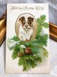 画像2: Postcard  アンティークポストカード　クリスマス　　子犬とカラ松　テリア　Helena Maguire (2)