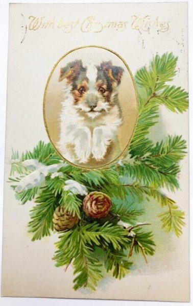 画像1: Postcard  アンティークポストカード　クリスマス　　子犬とカラ松　テリア　Helena Maguire (1)
