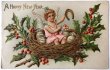 画像1: Postcard  　アンティークポストカード　新年祝い　New Year　鳥の巣の中の天使　ホーリー (1)