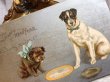 画像3: Postcard  アンティークポストカード　New Year 新年祝い　2匹の犬　テリア犬　Helena Maguire (3)