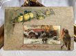 画像2: Postcard  　アンティークポストカード　 新年祝い　New Year　小鳥と雪景色　アメリカ1908年 (2)