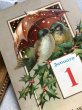 画像3: Postcard  　アンティークポストカード　 新年祝い　New Year　相合傘の小鳥たち　アオガラ　Blue Tit　 (3)