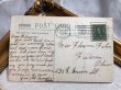 画像3: Postcard  　アンティークポストカード　 新年祝い　New Year　小鳥と雪景色　アメリカ1908年 (3)