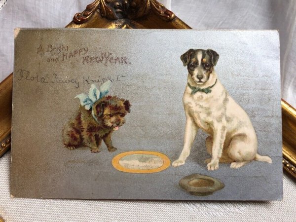 画像2: Postcard  アンティークポストカード New Year 新年祝い 2匹の犬 テリア犬 Helena Maguire (2)