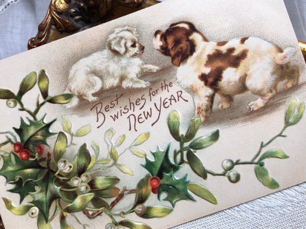 画像3: Postcard  アンティークポストカード　New Year 新年祝い　2匹の犬　スパニエル犬　Helena Maguire　（未使用） (3)
