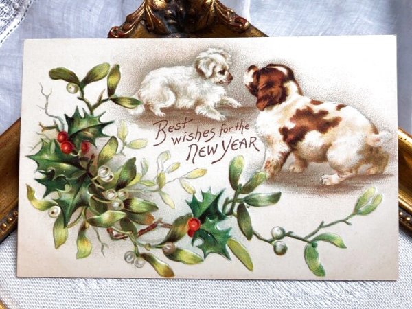画像2: Postcard  アンティークポストカード　New Year 新年祝い　2匹の犬　スパニエル犬　Helena Maguire　（未使用） (2)