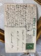 画像4: Postcard　アンティークポストカード　新年祝い　New Year　ラッパから飛び出す金貨　馬蹄　キノコ　四つ葉クローバー　1913年 (4)