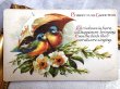 画像2: Postcard  　アンティークポストカード　 クリスマス　相合傘の小鳥たち　Ellen Clapsaddle (2)
