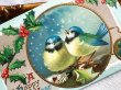 画像3: Postcard  　アンティークポストカード　 新年祝い　New Year　小鳥　アオガラ　フィンチ (3)