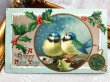 画像2: Postcard  　アンティークポストカード　 新年祝い　New Year　小鳥　アオガラ　フィンチ (2)