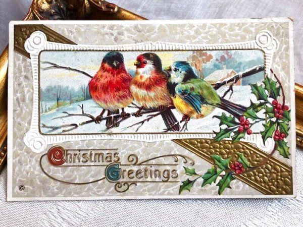 画像2: Postcard   アンティークポストカード  クリスマス 3羽の小鳥たち アメリカ1915年 (2)