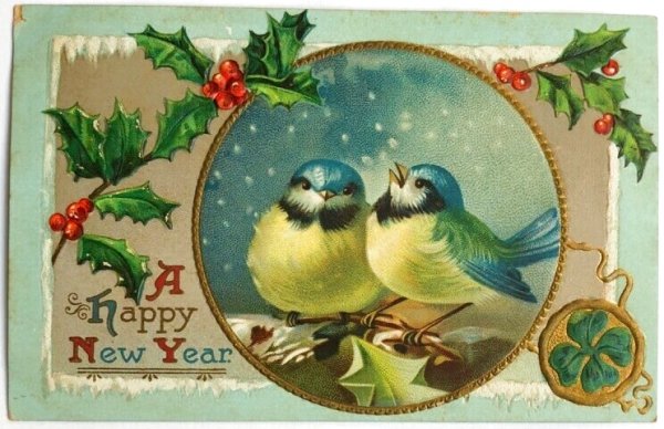 画像1: Postcard  　アンティークポストカード　 新年祝い　New Year　小鳥　アオガラ　フィンチ (1)