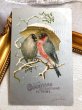 画像2: Postcard  　アンティークポストカード　 クリスマス　相合傘の小鳥たち　アメリカ1905年 (2)