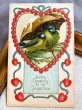 画像2: Postcard　アンティークポストカード　バレンタイン　Valentine's Day　相合傘の小鳥たち　アオガラ　Ellen Clapsaddle (2)