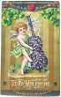 画像1: Postcard  　アンティークポストカード　バレンタイン　天使とお花の楽器　スミレのチェロ　アメリカ1910年 (1)
