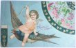 画像1: Postcard  　アンティークポストカード　バレンタイン　ツバメに乗るキューピッド天使　アメリカ1908年 (1)