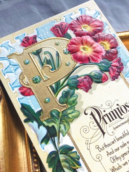 画像3: Postcard   アンティークポストカード アルファベットP プリムローズのお花 宝石 ジュエリー 花言葉 (3)