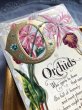 画像3: Postcard  　アンティークポストカード　アルファベットO　Orchids　蘭のお花 宝石　ジュエリー　花言葉 (3)