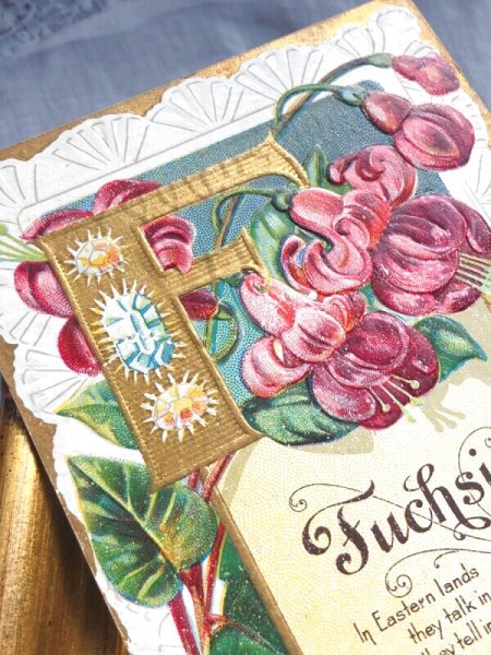 画像3: Postcard   アンティークポストカード アルファベットF Fuchsia フクシアのお花  宝石 ジュエリー 花言葉 (3)
