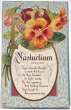 画像1: Postcard  　アンティークポストカード　アルファベットN　ナスタチウム　Nasturtium　キンレンカ（金蓮花）のお花 宝石　ジュエリー　花言葉 (1)