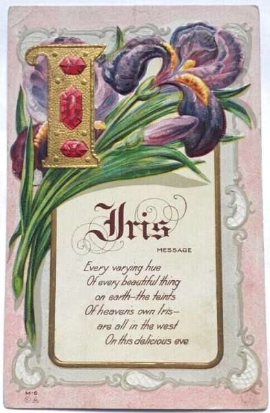 画像1: Postcard  　アンティークポストカード　アルファベットI　Iris　アイリスのお花　アヤメ　 宝石　ジュエリー　花言葉 (1)