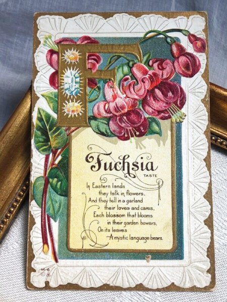 画像2: Postcard   アンティークポストカード アルファベットF Fuchsia フクシアのお花  宝石 ジュエリー 花言葉 (2)