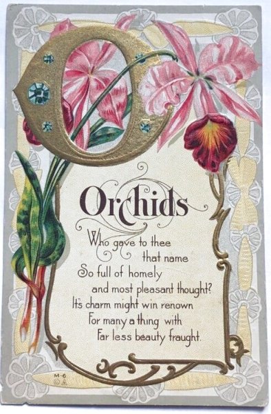 画像1: Postcard  　アンティークポストカード　アルファベットO　Orchids　蘭のお花 宝石　ジュエリー　花言葉 (1)