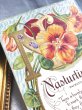 画像3: Postcard  　アンティークポストカード　アルファベットN　ナスタチウム　Nasturtium　キンレンカ（金蓮花）のお花 宝石　ジュエリー　花言葉 (3)