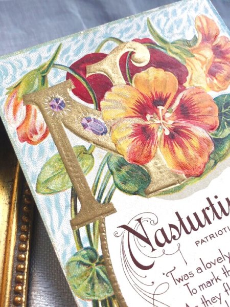 画像3: Postcard   アンティークポストカード アルファベットN ナスタチウム Nasturtium キンレンカ(金蓮花)のお花 宝石 ジュエリー 花言葉 (3)