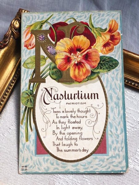 画像2: Postcard   アンティークポストカード アルファベットN ナスタチウム Nasturtium キンレンカ(金蓮花)のお花 宝石 ジュエリー 花言葉 (2)