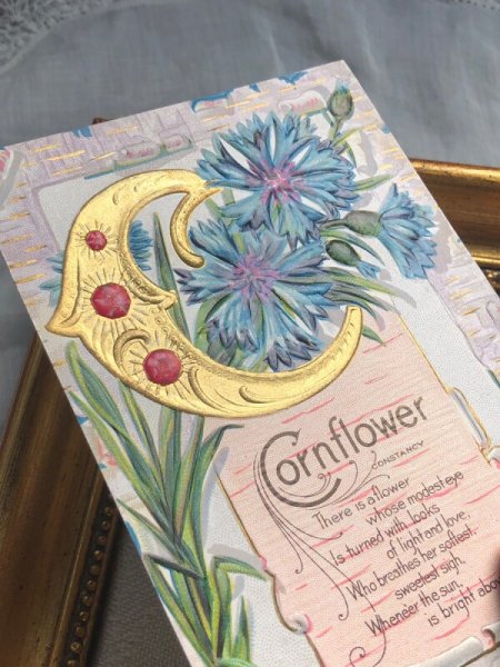 画像3: Postcard   アンティークポストカード アルファベットC コーンフラワーのお花 矢車菊  宝石 ジュエリー 花言葉 (3)