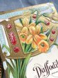 画像3: Postcard  　アンティークポストカード　アルファベットD　水仙のお花　 宝石　ジュエリー　花言葉 (3)